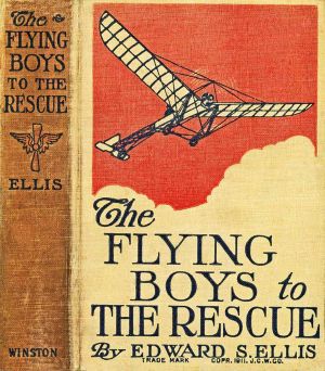 [Gutenberg 63365] • The Flying Boys to the Rescue